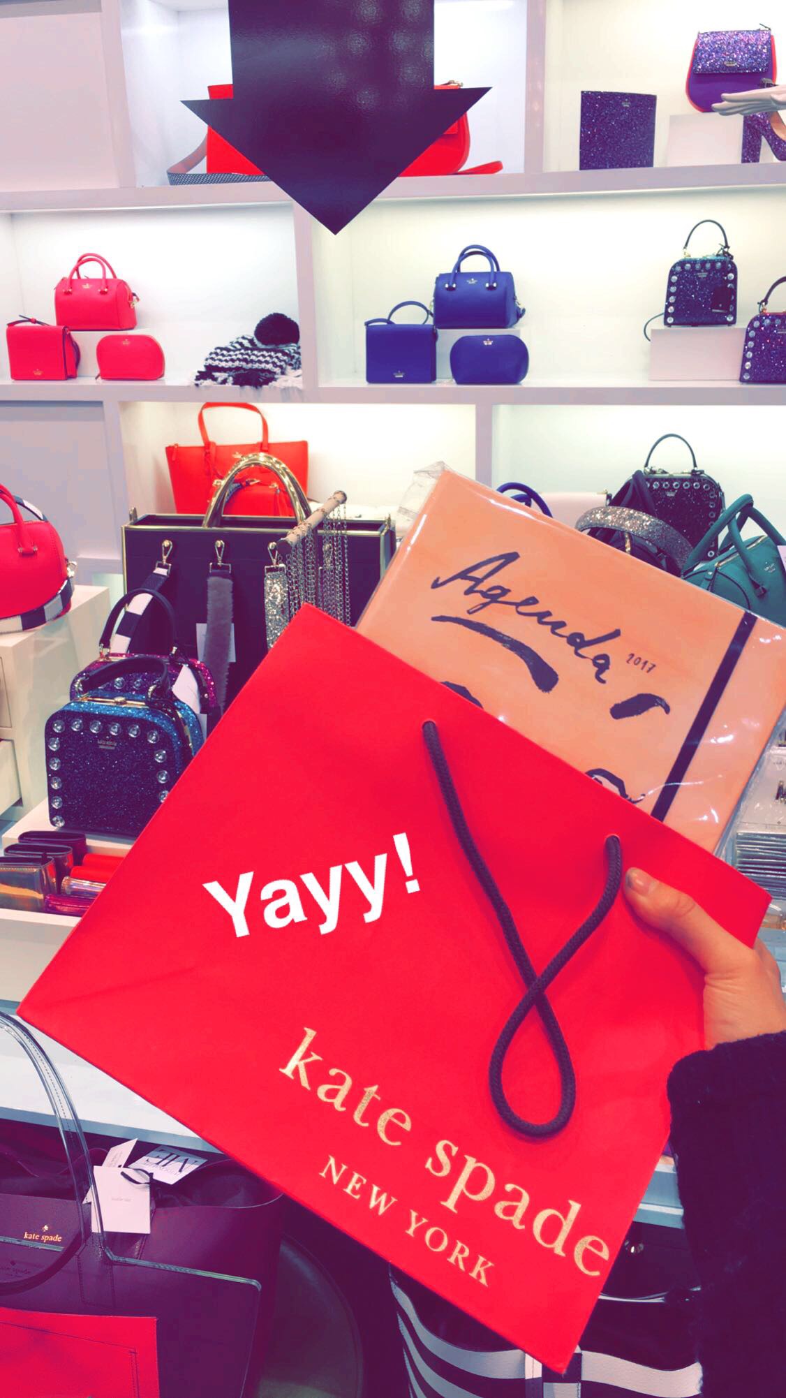 kate spade planner ally gong haul black friday snapchat ucla college lifestyle